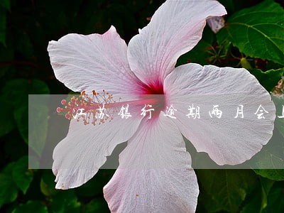 江苏银行逾期两月会上央行征信吗 江苏银行逾期两月会上央行征信吗