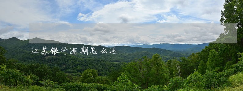 江苏银行逾期怎么还 江苏银行逾期怎么还