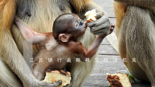 江苏银行逾期移交司法机关 江苏银行逾期移交司法机关