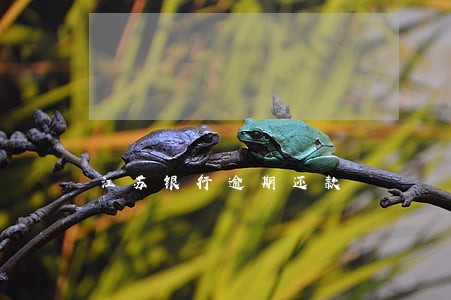 江苏银行逾期还款