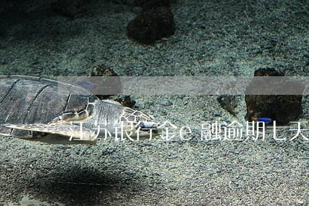 江苏银行金e融逾期七天