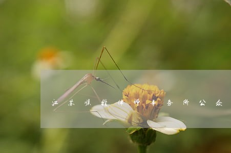 江苏顺维律师事务所公众号