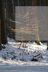 江苏驰东律师事务所催款 江苏驰东律师事务所催款