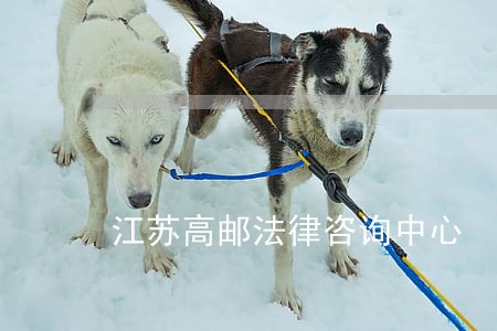 江苏高邮法律咨询中心 江苏高邮法律咨询中心