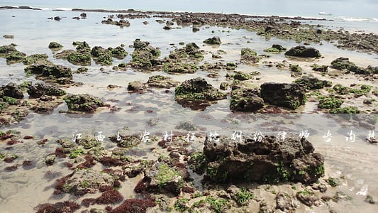 江西b农村征地纠纷律师咨询热线 江西b农村征地纠纷律师咨询热线