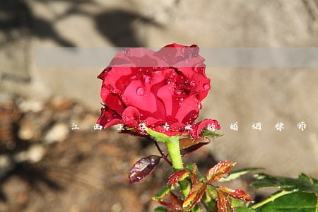 江西上饶专业的婚姻律师 江西上饶专业的婚姻律师