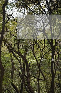 江西上饶债务合同律师咨询 江西上饶债务合同律师咨询