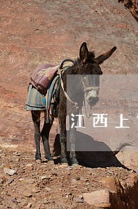江西上饶刑事会见律师委托咨询 江西上饶刑事会见律师委托咨询