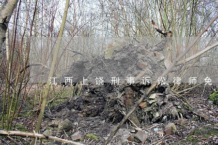 江西上饶刑事诉讼律师免费咨询 江西上饶刑事诉讼律师免费咨询