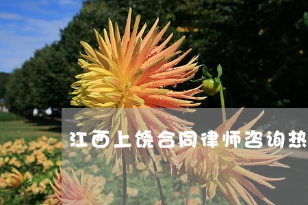 江西上饶合同律师咨询热线 江西上饶合同律师咨询热线