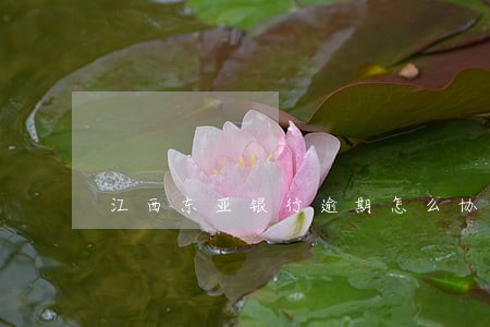 江西东亚银行逾期怎么协商 江西东亚银行逾期怎么协商