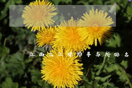 江西九江律师事务所排名榜 江西九江律师事务所排名榜