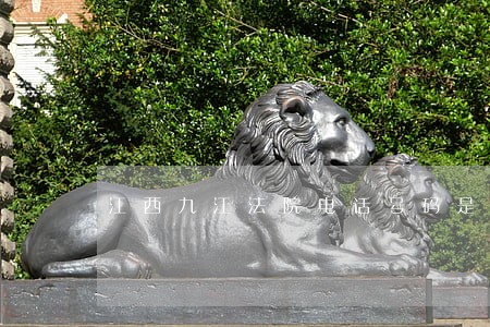 江西九江法院电话号码是多少钱