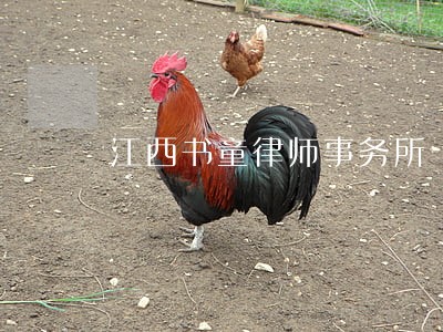 江西书童律师事务所 江西书童律师事务所