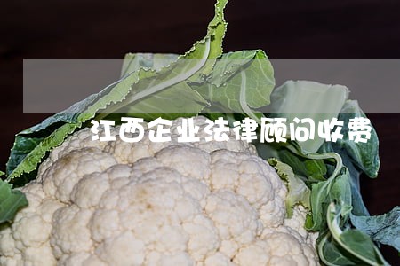 江西企业法律顾问收费 江西企业法律顾问收费