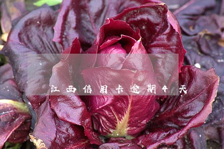 江西信用卡逾期4天 江西信用卡逾期4天