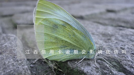 江西信用卡逾期会影响征信吗