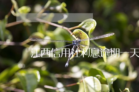 江西信用社利息逾期一天 江西信用社利息逾期一天