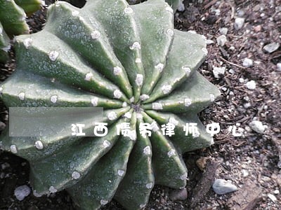 江西债务律师中心 江西债务律师中心