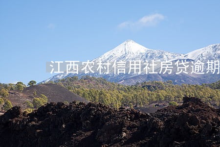 江西农村信用社房贷逾期 江西农村信用社房贷逾期