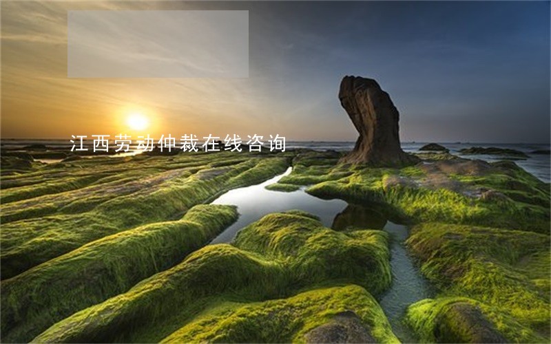 江西劳动仲裁在线咨询 江西劳动仲裁在线咨询