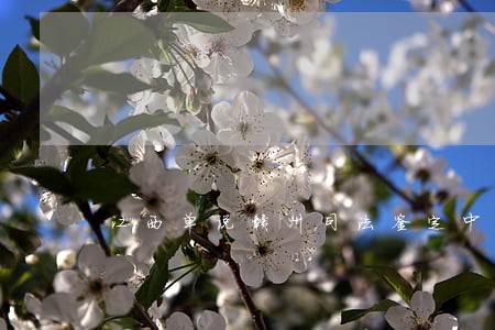 江西单说赣州司法鉴定中心 江西单说赣州司法鉴定中心