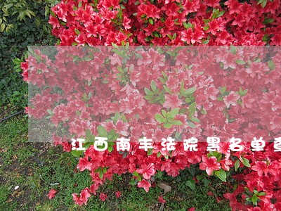 江西南丰法院黑名单查询