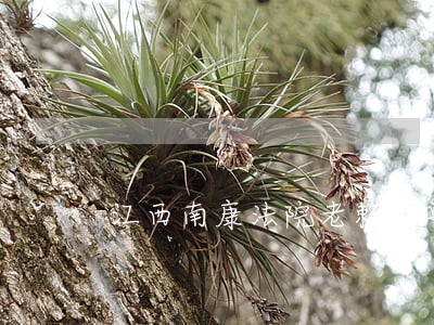 江西南康法院老赖名单 江西南康法院老赖名单