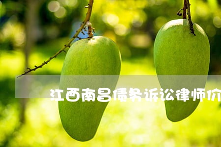 江西南昌债务诉讼律师价格 江西南昌债务诉讼律师价格