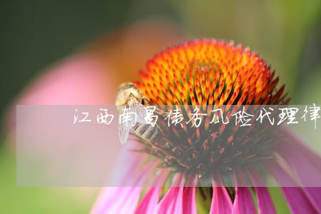 江西南昌债务风险代理律师多少钱 江西南昌债务风险代理律师多少钱