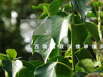 江西南昌取保候审律师有哪些 江西南昌取保候审律师有哪些