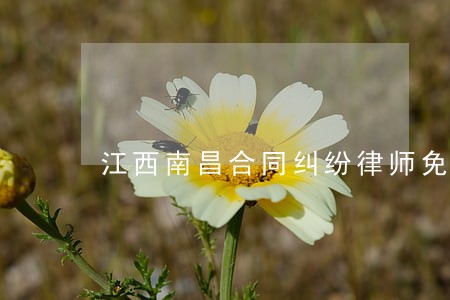 江西南昌合同纠纷律师免费咨询 江西南昌合同纠纷律师免费咨询