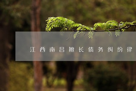 江西南昌擅长债务纠纷律师 江西南昌擅长债务纠纷律师