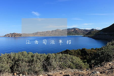 江西司法单招