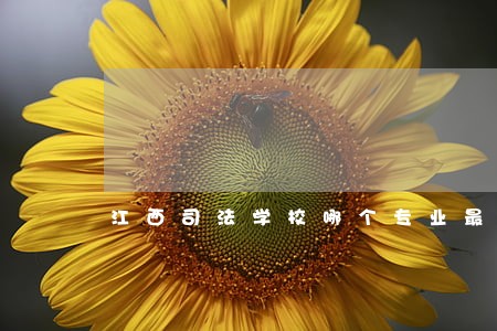 江西司法学校哪个专业最好 江西司法学校哪个专业最好