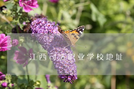 江西司法职业学校地址