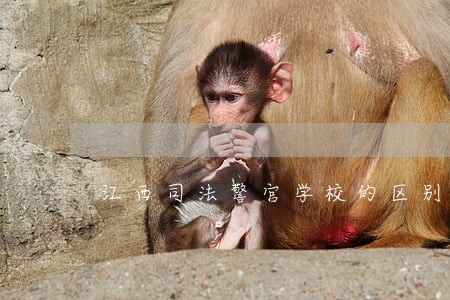 江西司法警官学校的区别