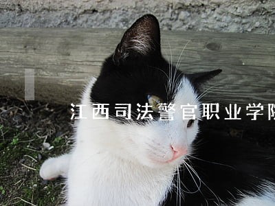 江西司法警官职业学院军训总指挥 江西司法警官职业学院军训总指挥
