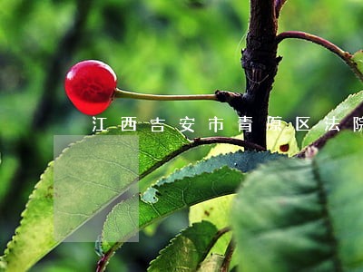 江西吉安市青原区法院电话 江西吉安市青原区法院电话
