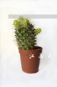江西天剑司法鉴定中心标志