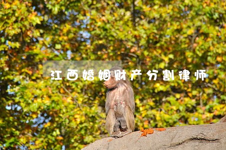 江西婚姻财产分割律师 江西婚姻财产分割律师