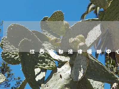 江西宁都法律援助中心 江西宁都法律援助中心
