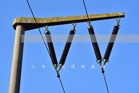 江西小猪理财逾期 江西小猪理财逾期