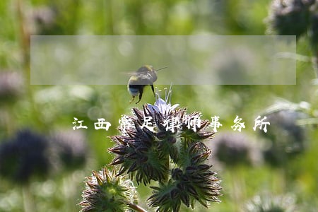 江西常足律师事务所 江西常足律师事务所