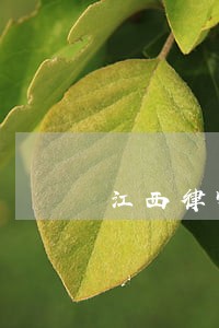 江西律师收费标准2020 江西律师收费标准2020