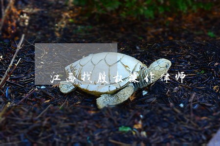 江西找股权操作律师 江西找股权操作律师