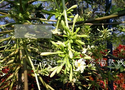 江西抚州法律咨询热线 江西抚州法律咨询热线