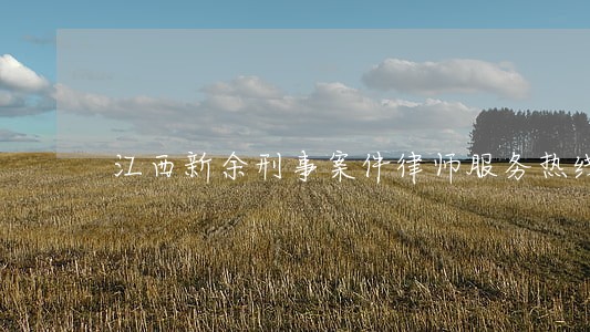 江西新余刑事案件律师服务热线
