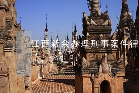 江西新余办理刑事案件律师