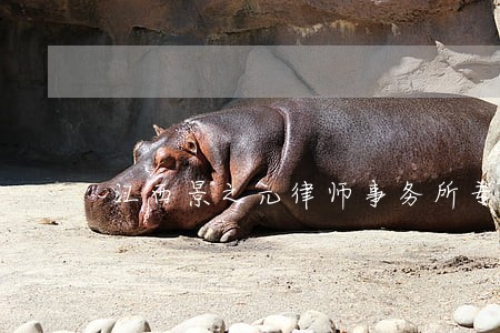 江西景之元律师事务所专业律师 江西景之元律师事务所专业律师